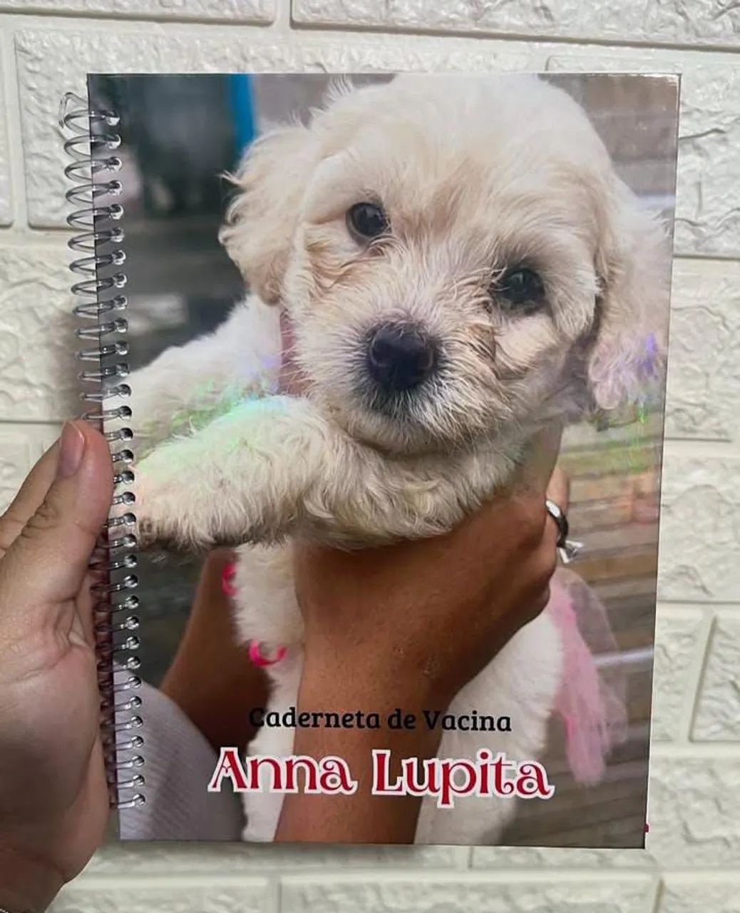 Caderneta de Vacina Personalizada - Dog - Foto 3