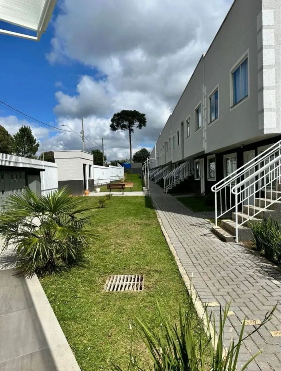 Foto - Curitiba - Pinheirinho