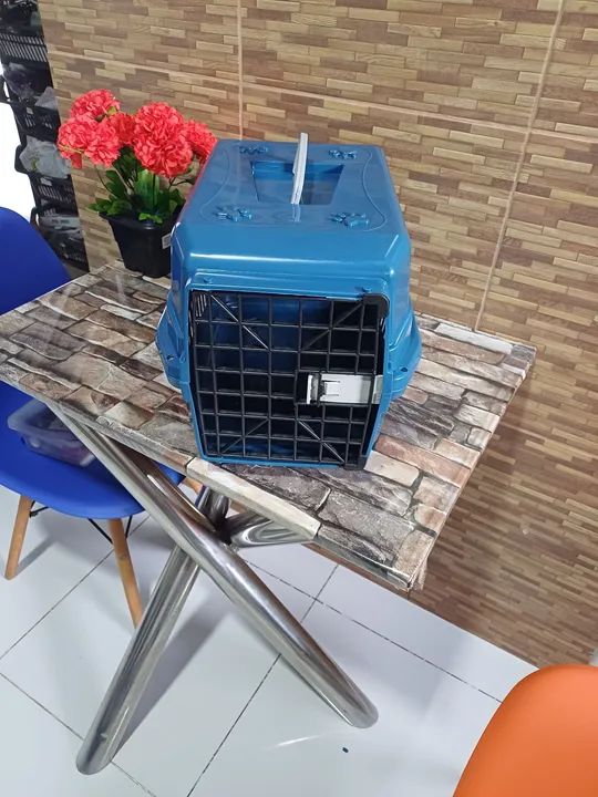 Caixa de Transporte Nr 02 - Foto 4