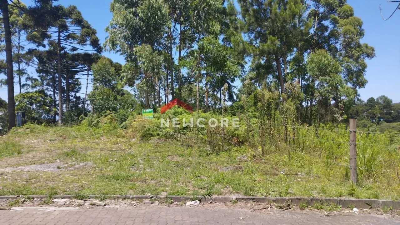 Lote em Rua Camélias - Centro - São Francisco de Paula/RS