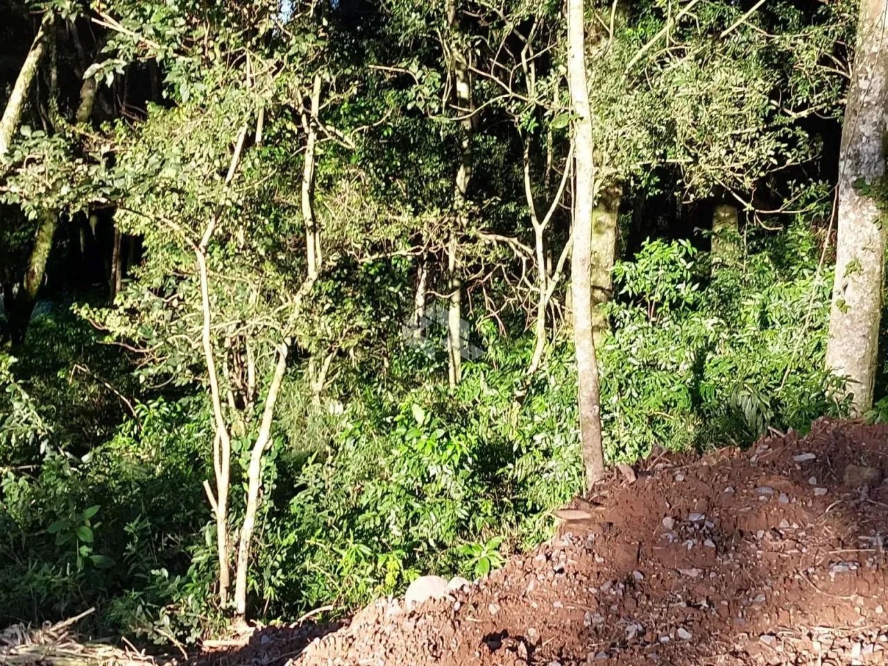 Área de terra de 02 hás agricultável - Foto 14