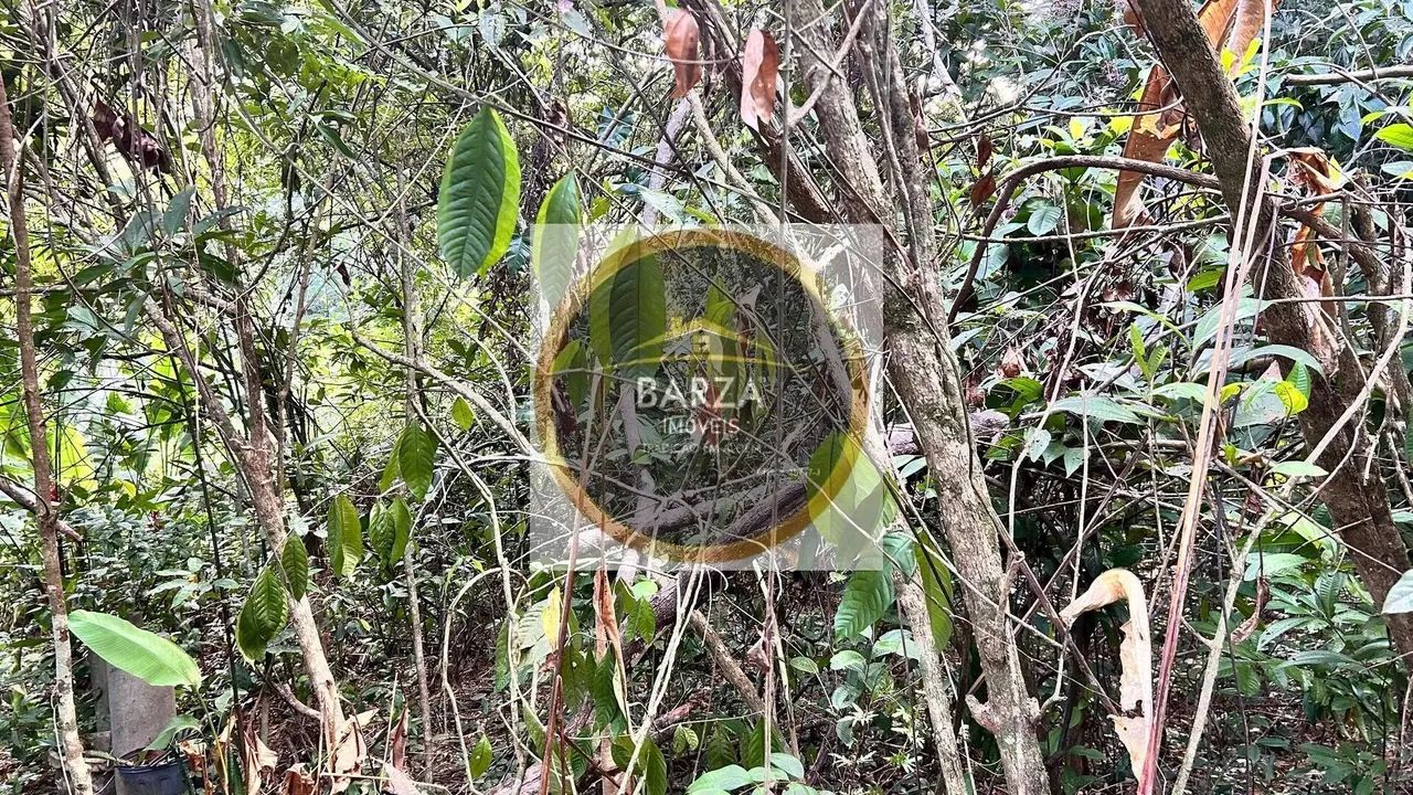 Aldeia BARZA IMÓVEIS - Condomínio Bosque Águas de Aldeia - Foto 3