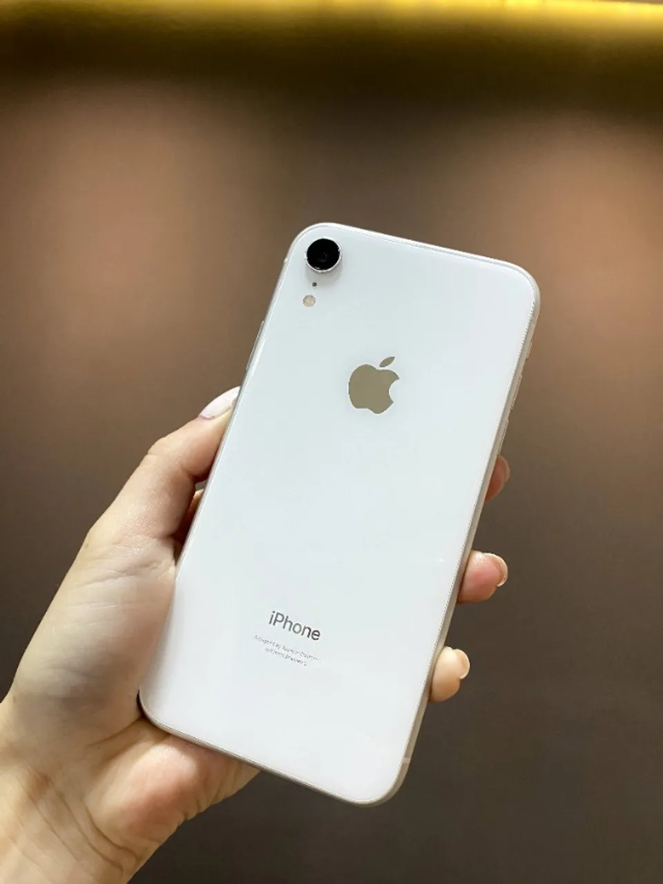 iPhone XR 128gb Branco Impecavel