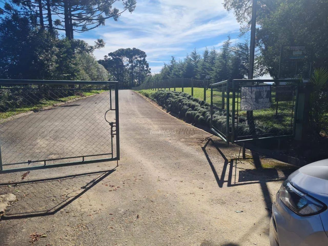 Chácara com 2 dormitórios à venda, 31627 m² por R$ 990.000,00 - Zona Rural - Palmeira/PR - Foto 2