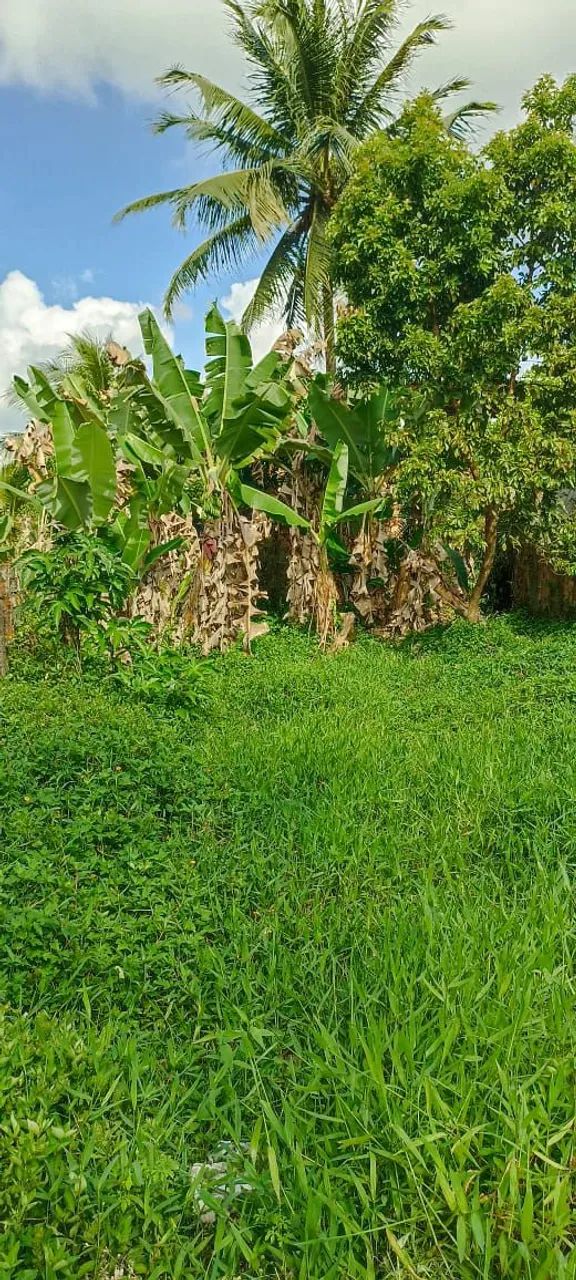 Vende se um terreno em Dias D'Ávila BA  - Foto 5