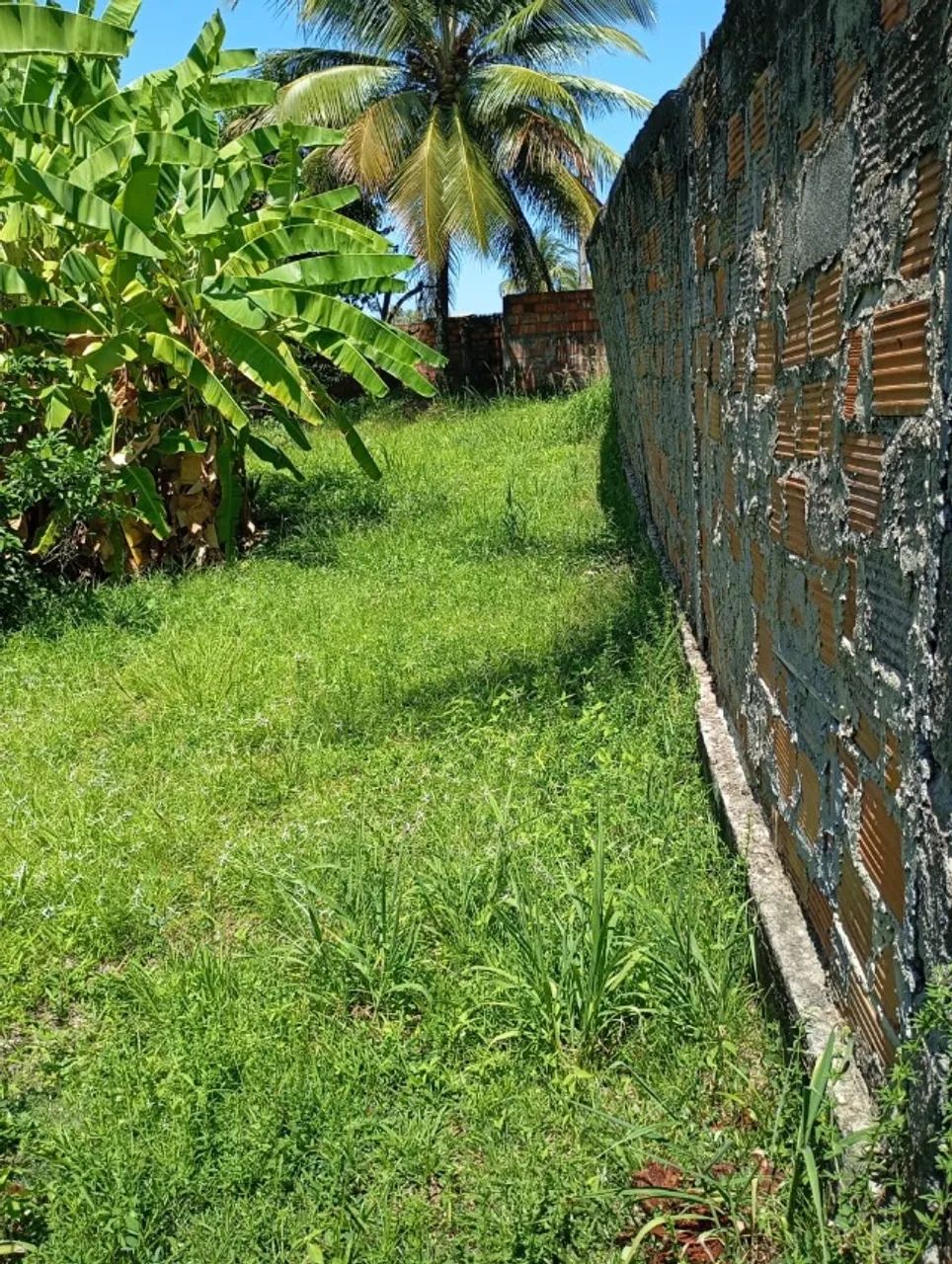 terreno porto santo ilha de itaparica  - Foto 4