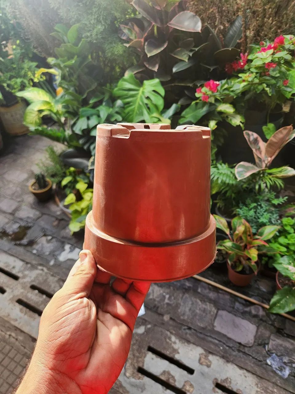 Caqueiros de Planta - Foto 2