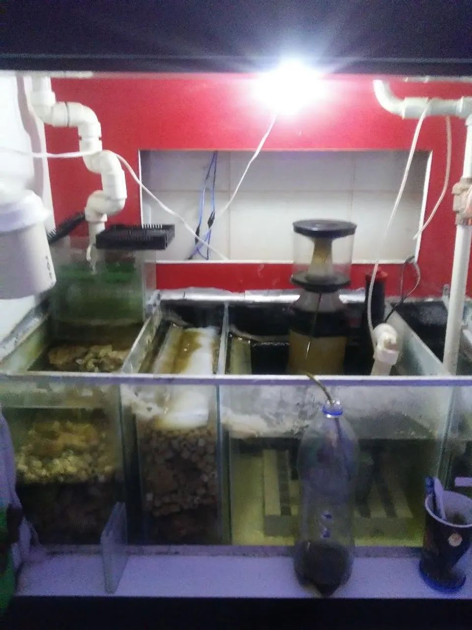 Skimmer  - Foto 4