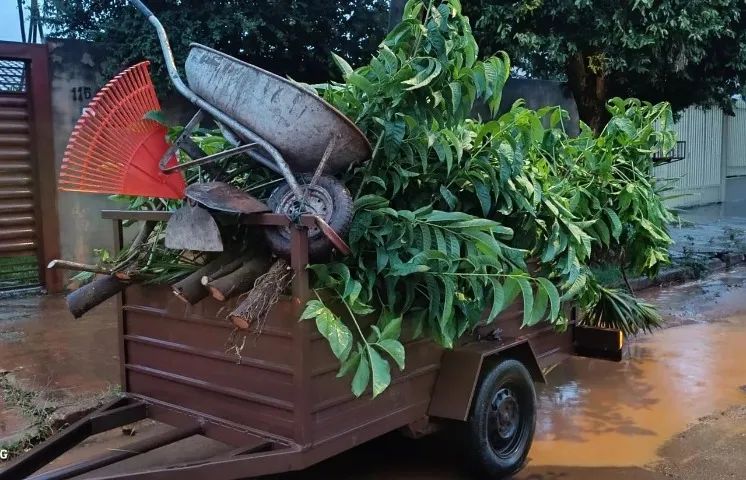 Limpeza de quintal com roçadeira e carretinha - Foto 3