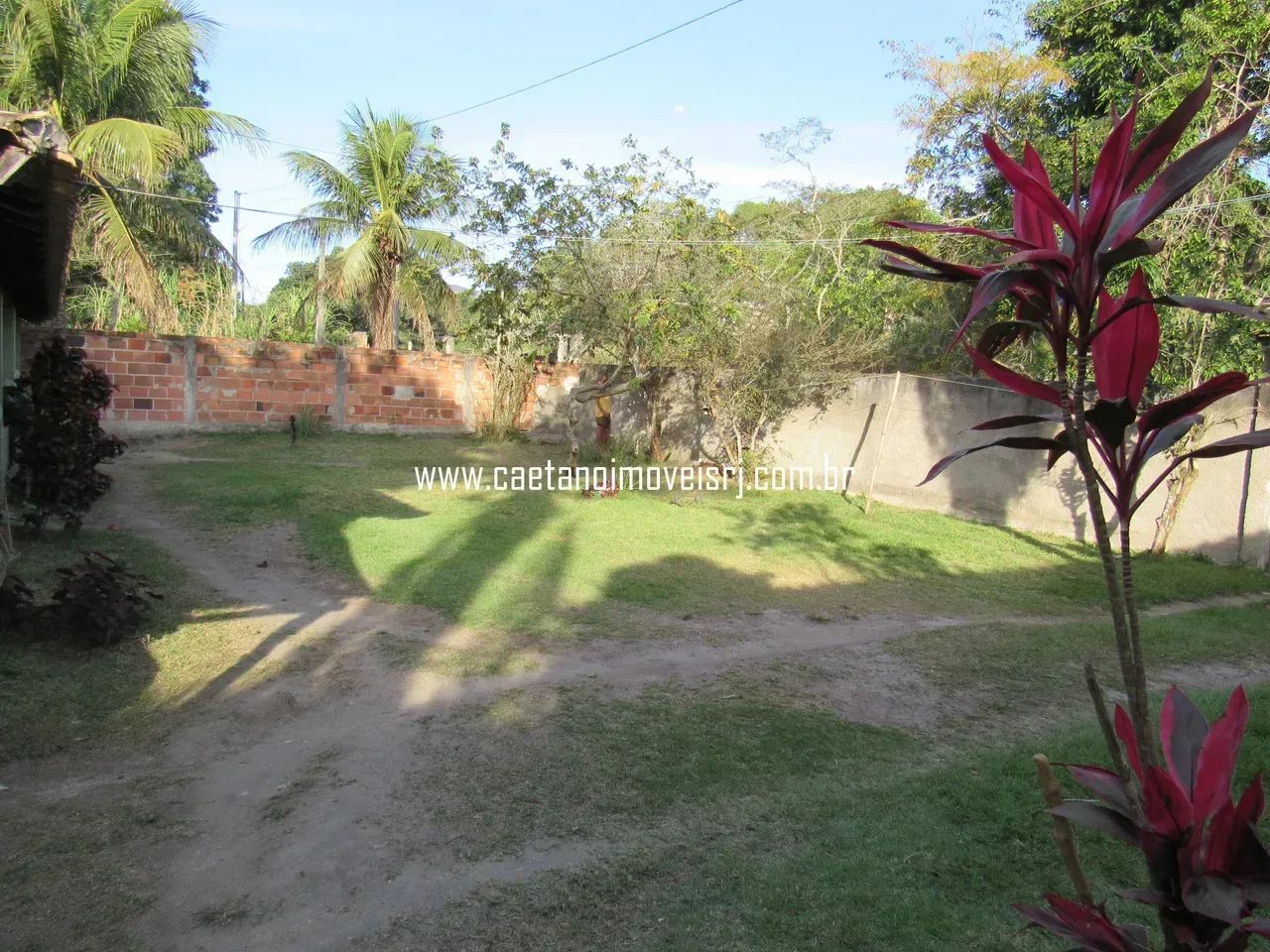 Chácara Plana, Murada e C/ Muitas Frutíferas - Preço de Oportunidade - Foto 2