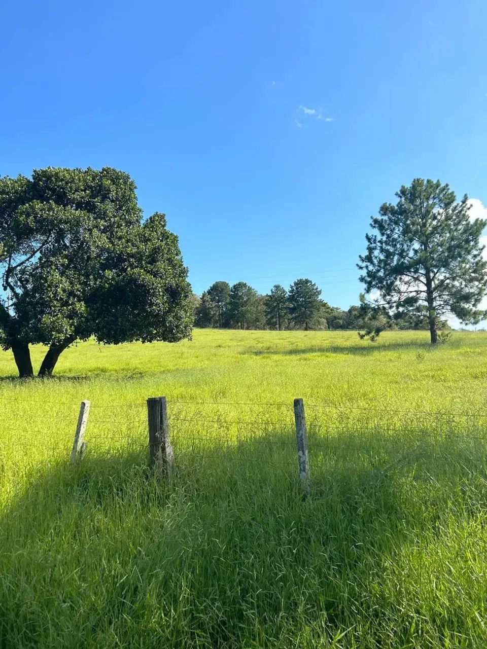 Terreno 500m² em Ibiúna Condomínio Fechado - Foto 5