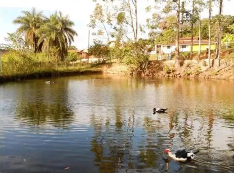 Lote|Condomínio Veredas das Gerais|800m²|Nova Lima - Foto 3