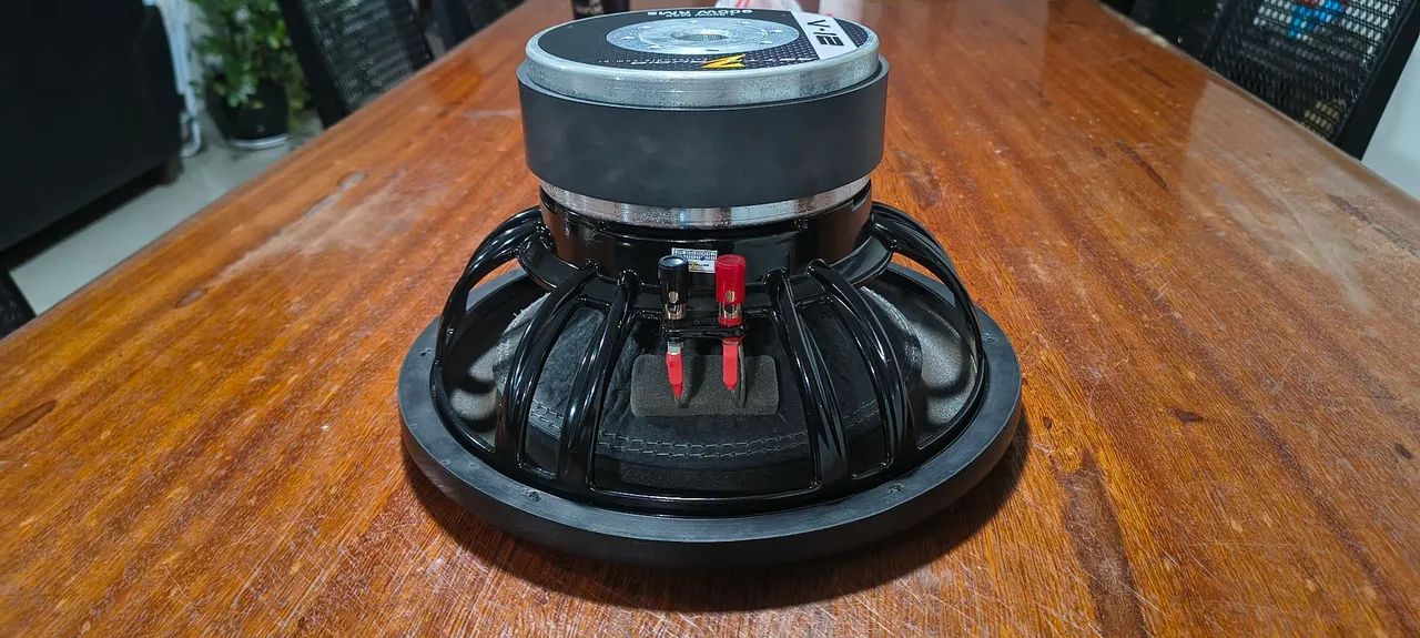 Sub Zetta 900 12" + Módulo sd1600.1 evo6 - Foto 3