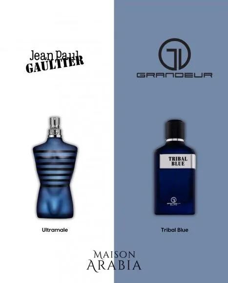 Perfume Árabe Tribal blue 100ml Eau de Parfum  - Foto 3
