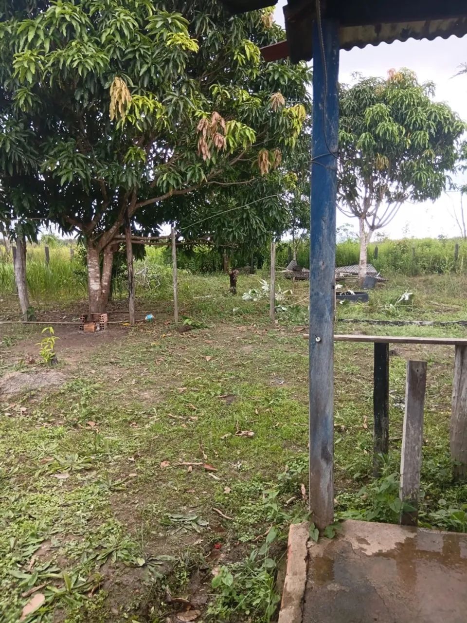 Venda - Foto 2