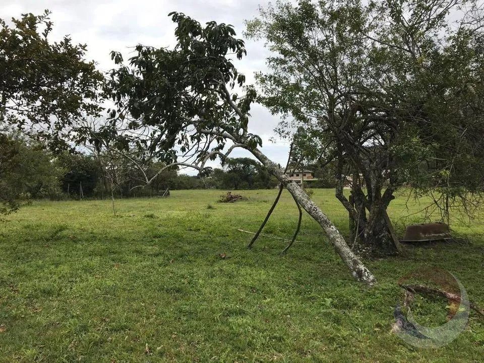 Terreno para Venda em Florianópolis, Vargem Grande - Foto 4