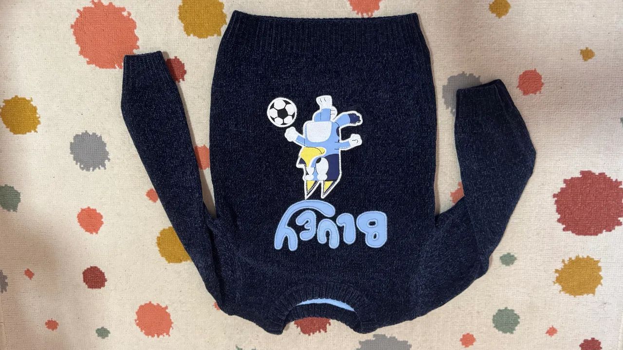 Blusa bluey original 