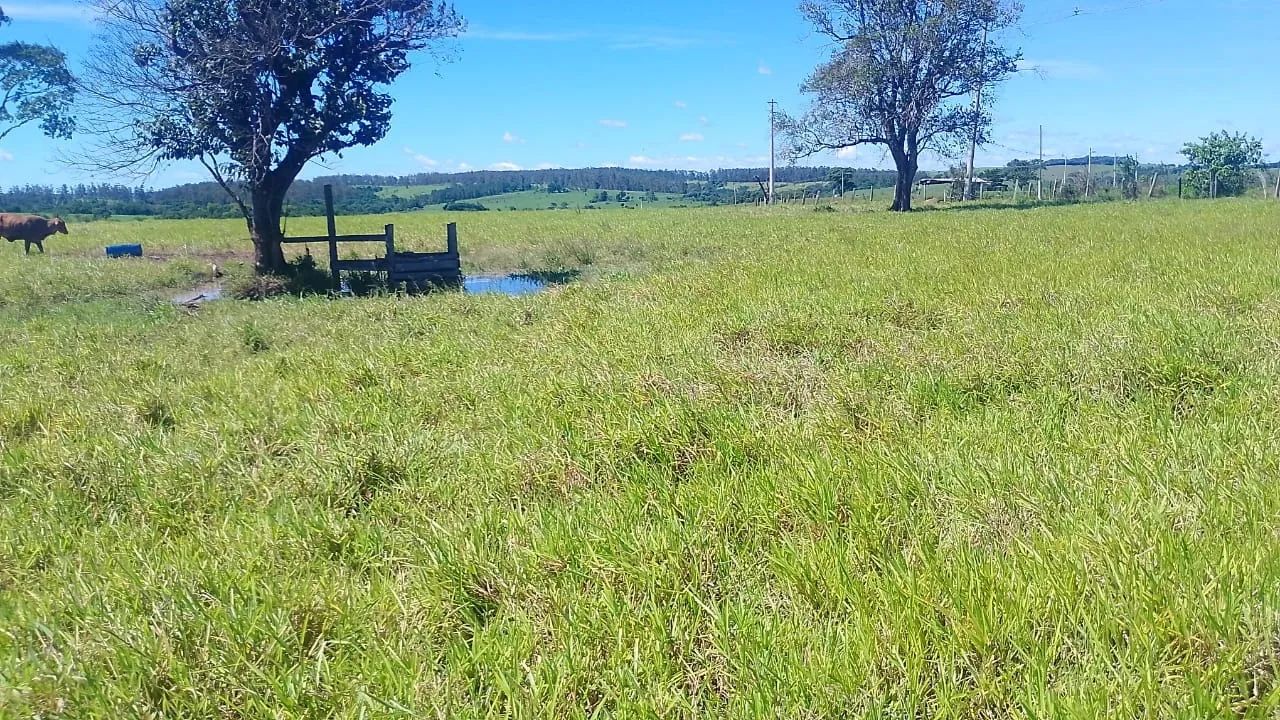 10 alqueires Divisa de quadra com guarei Valor 1.600,000 - Foto 4