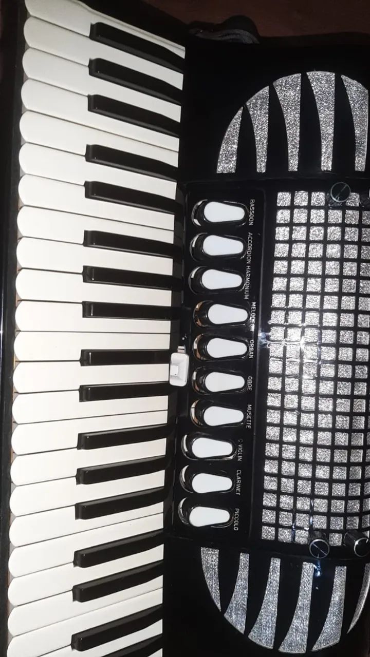acordeon excelsiola dupla ressonância - Foto 5