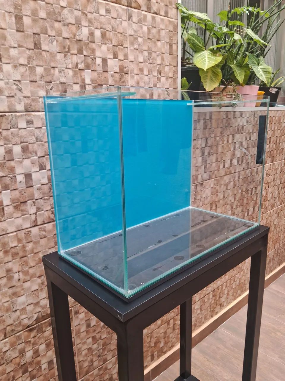 Aquário  - Foto 2