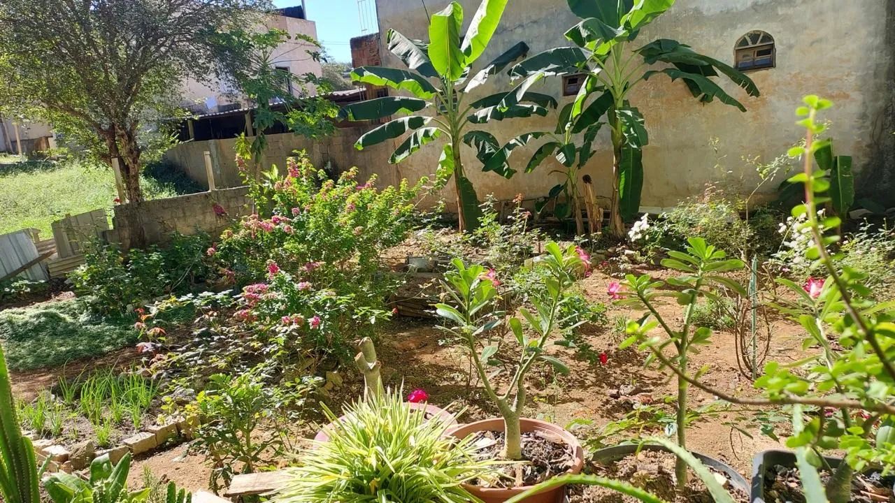 Vendo lote próximo ao centro de Iconha - Foto 4
