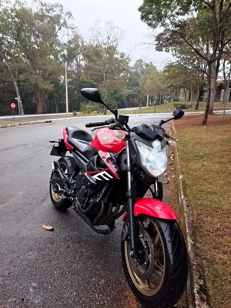 XJ6 2011  - Foto 2