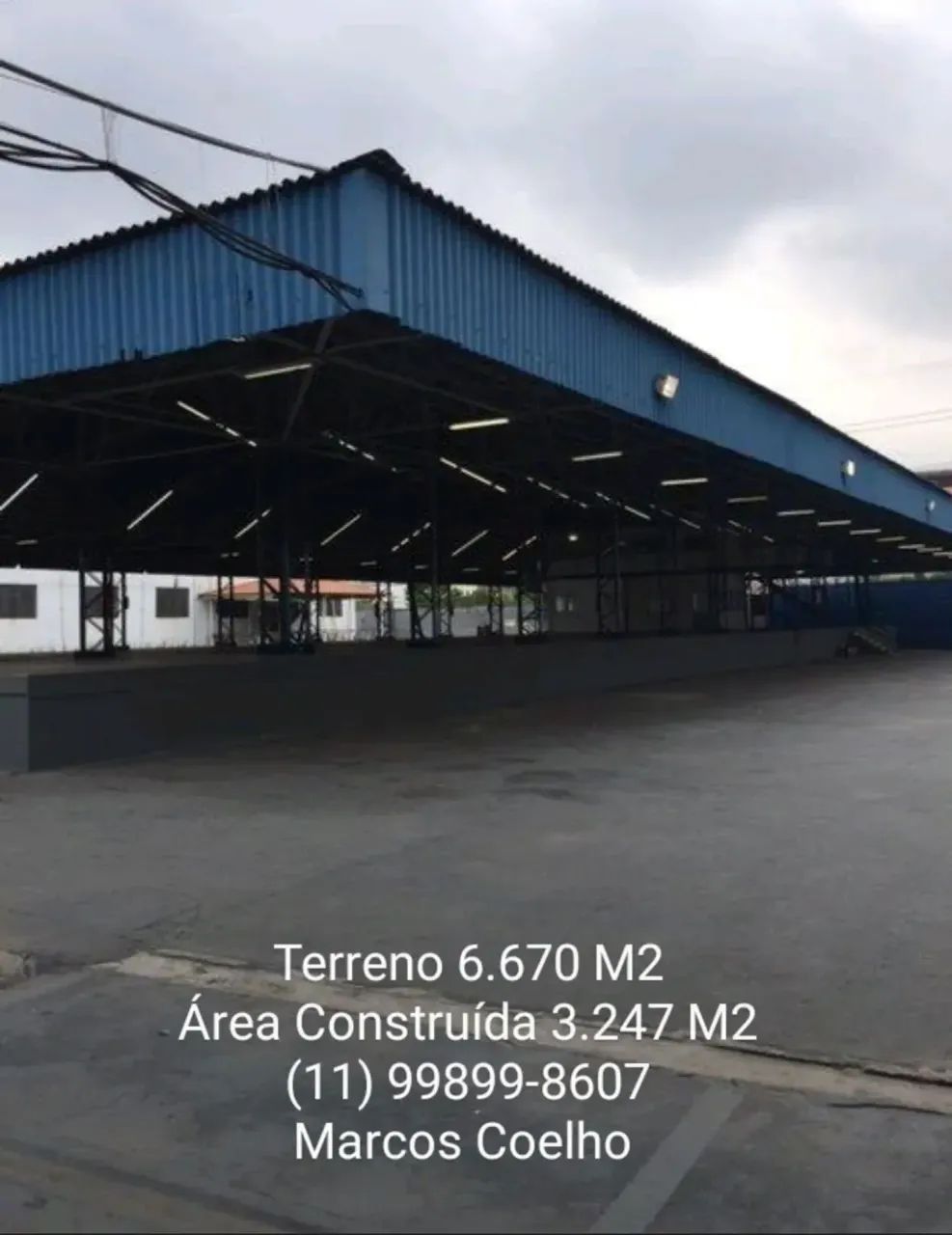 LEOPOLDINA CEASA - Foto 15