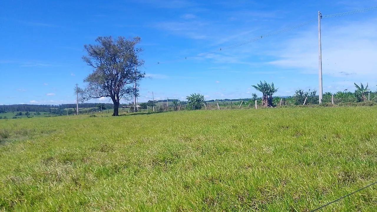 10 alqueires Divisa de quadra com guarei Valor 1.600,000 - Foto 5