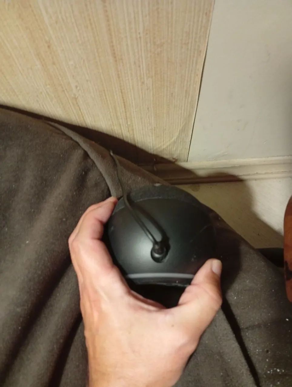 Alexia Amazon - Foto 2