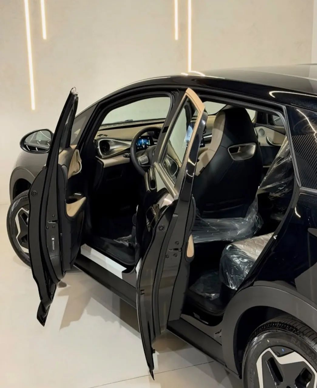 BYD Dolphin GS (Elétrico) 2026 - Foto 3