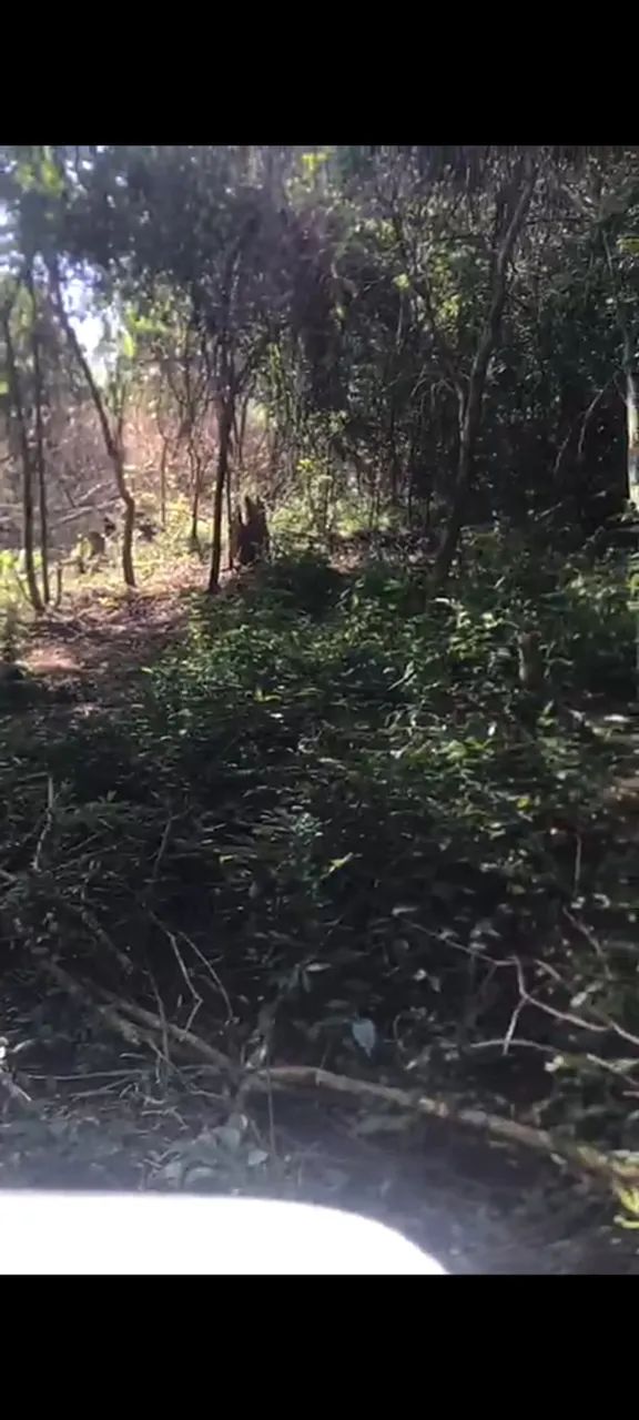 Foto - Barueri - Chácaras Marco