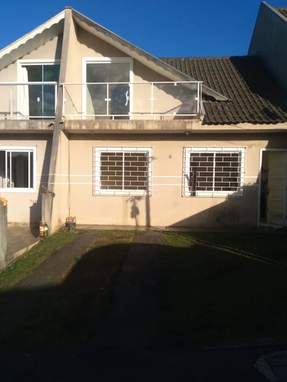 Foto - Araucária - Tindiquera
