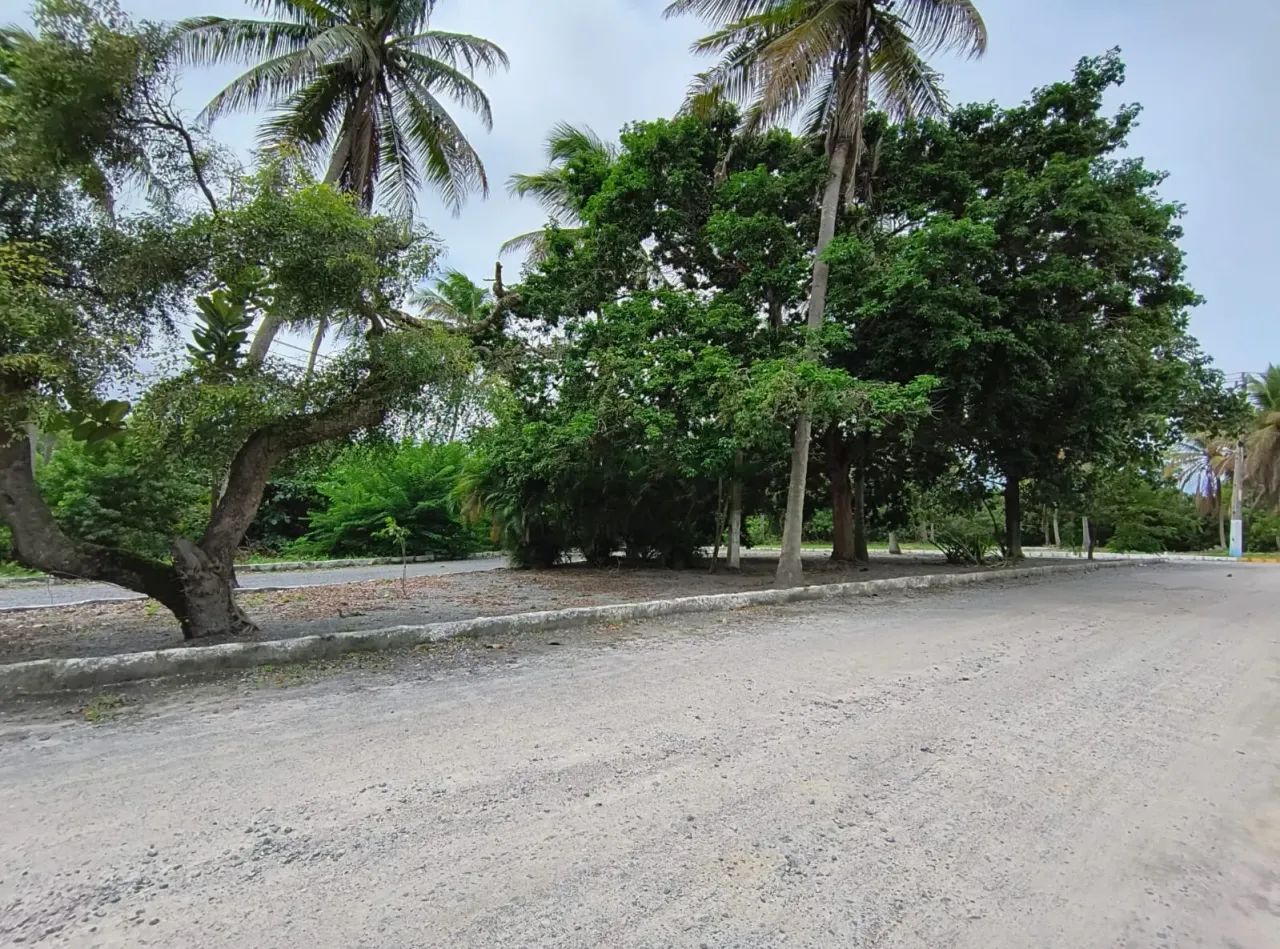 Super oportunidade - Porto de Galinhas - Foto 5