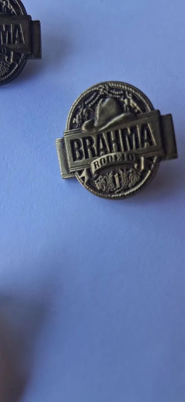 Pins de Rodeio (Brahma) - Foto 3