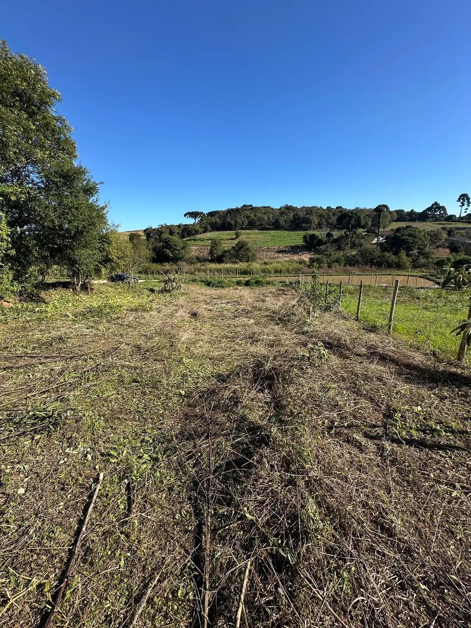 Terreno em contenda - Foto 5