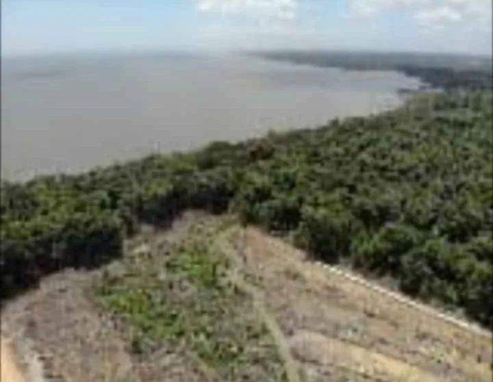 GRANDE AREA OORTUARIA EM BEJA(PARA) - Foto 2
