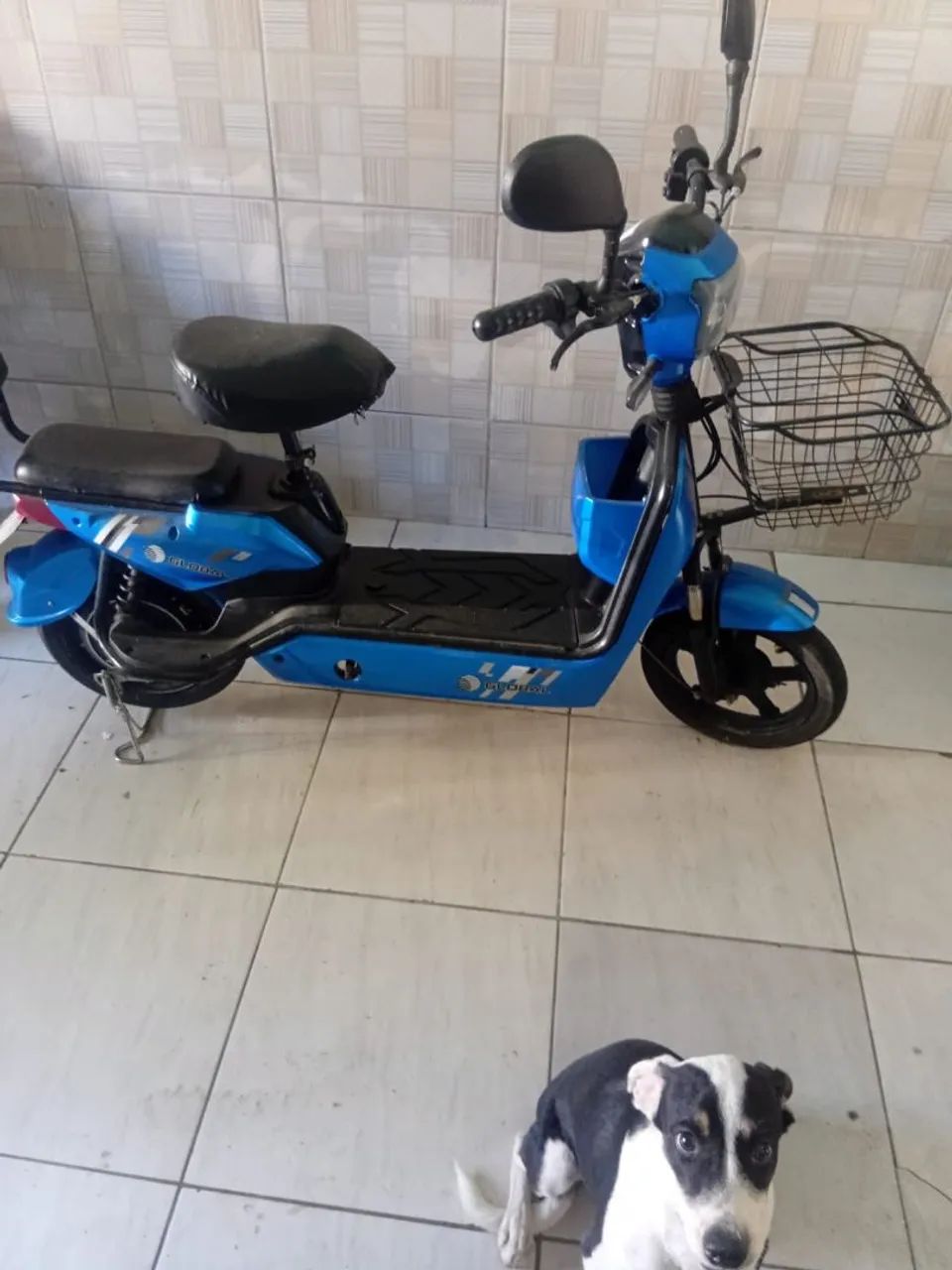 Motinha elétrica  - Foto 4