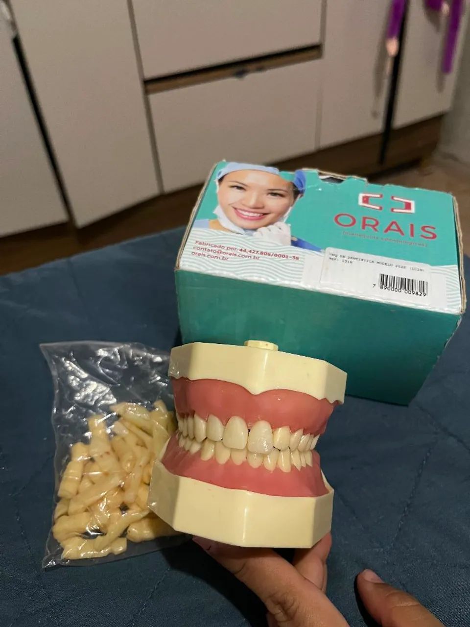 Manequim odontológico dentistica