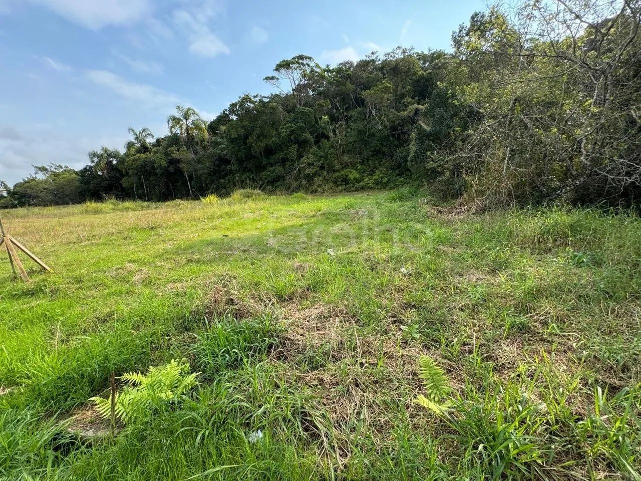 Terreno Sertão do Maruim com 332,28 m2 - Foto 4
