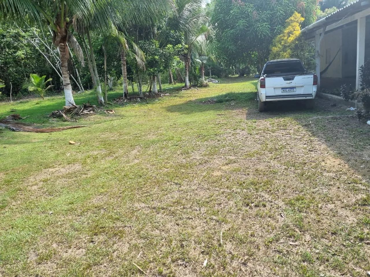sítio no ramal +500 plantas frutíferas 