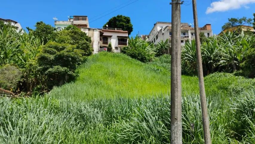 Foto - Vassouras - 