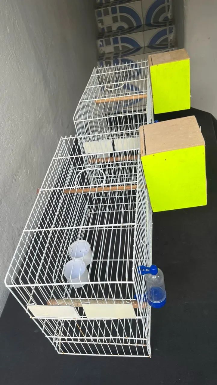 Gaiolas - Foto 2
