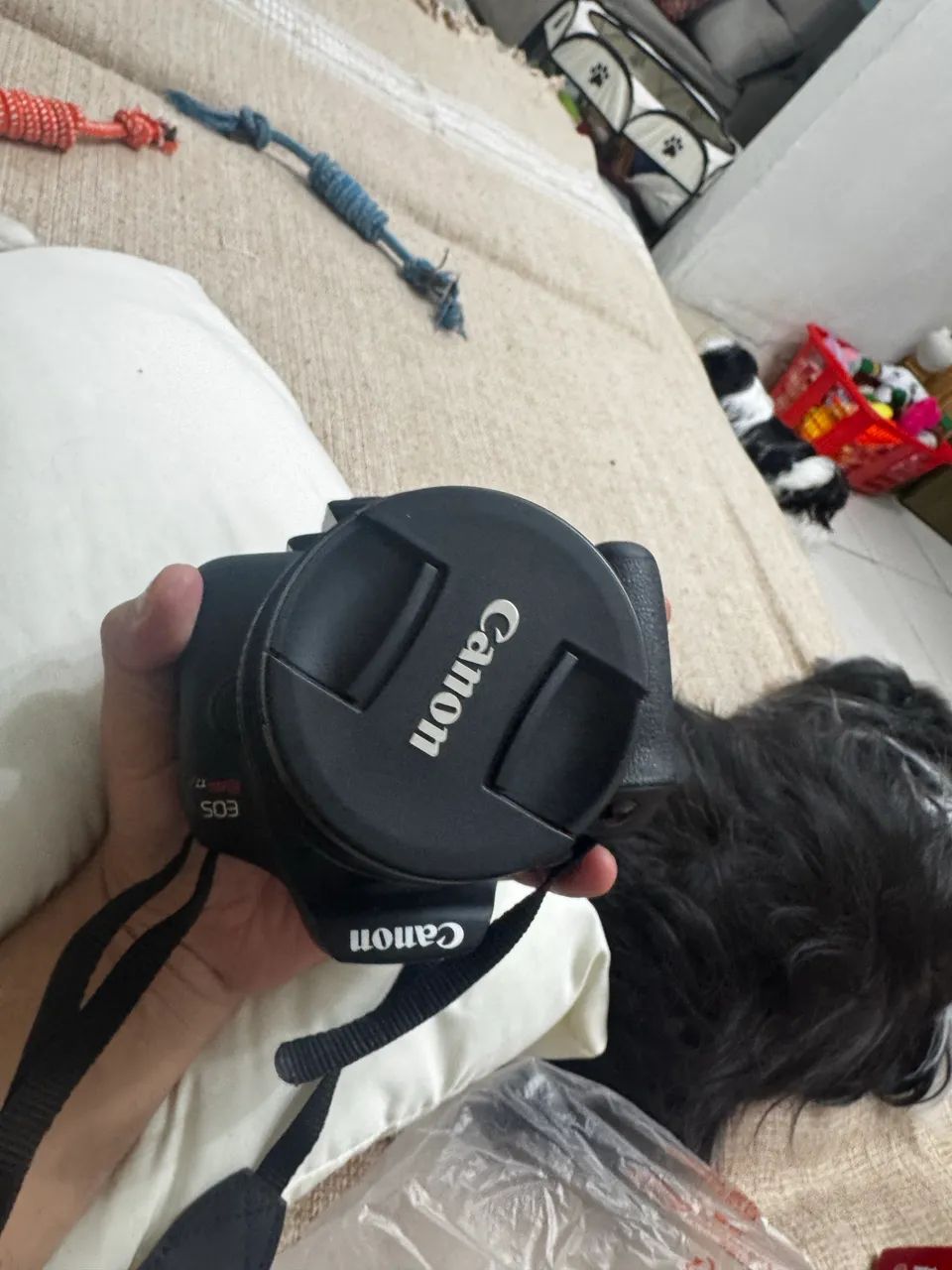     Kit Canon EOS Rebel T7 + Lente 18-55 + Caixa  - Foto 2