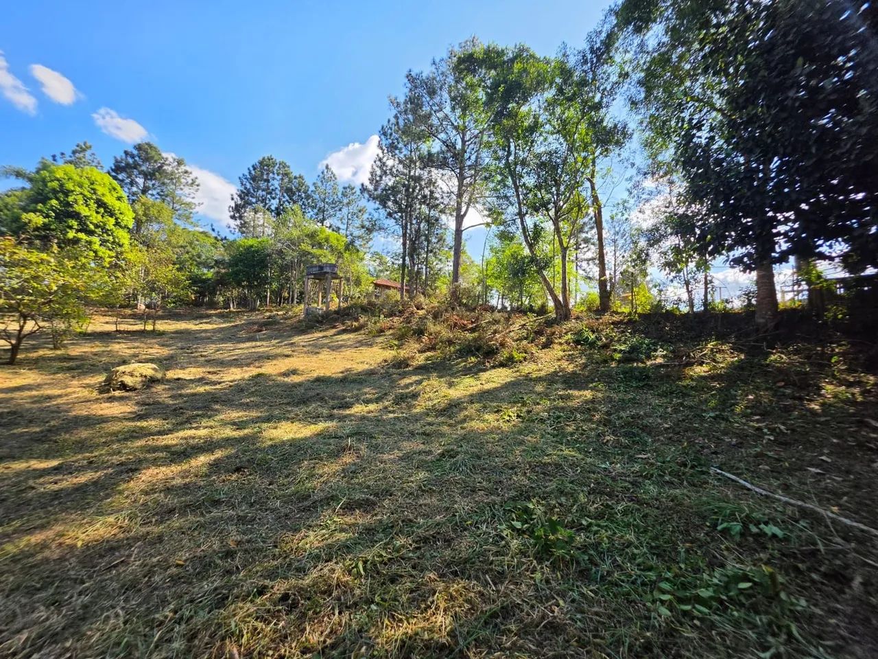 Terreno Plano com Pomar, Ótima Localização ! - Foto 3