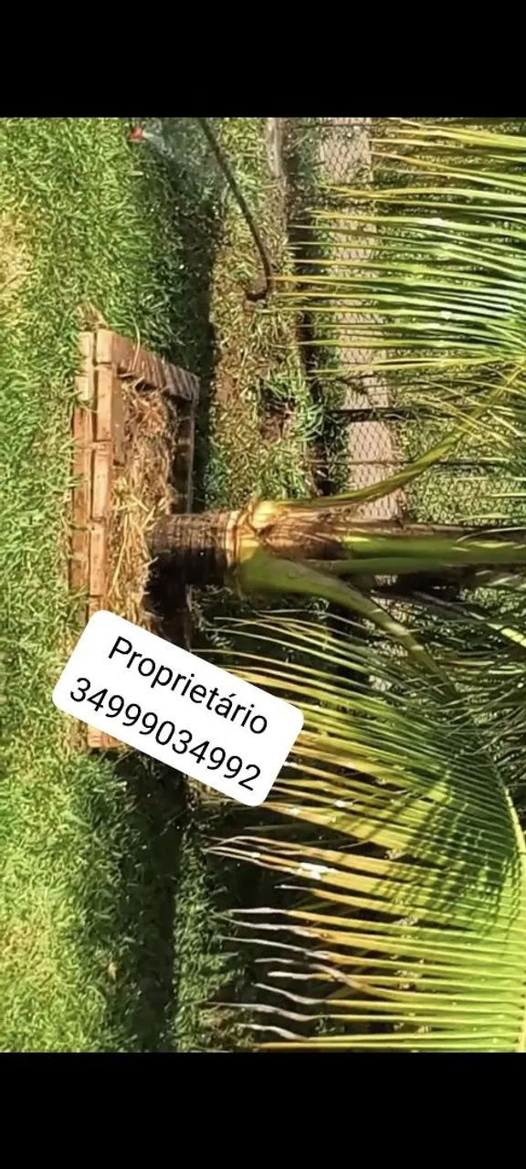 Chácara top troco em carro - Foto 5