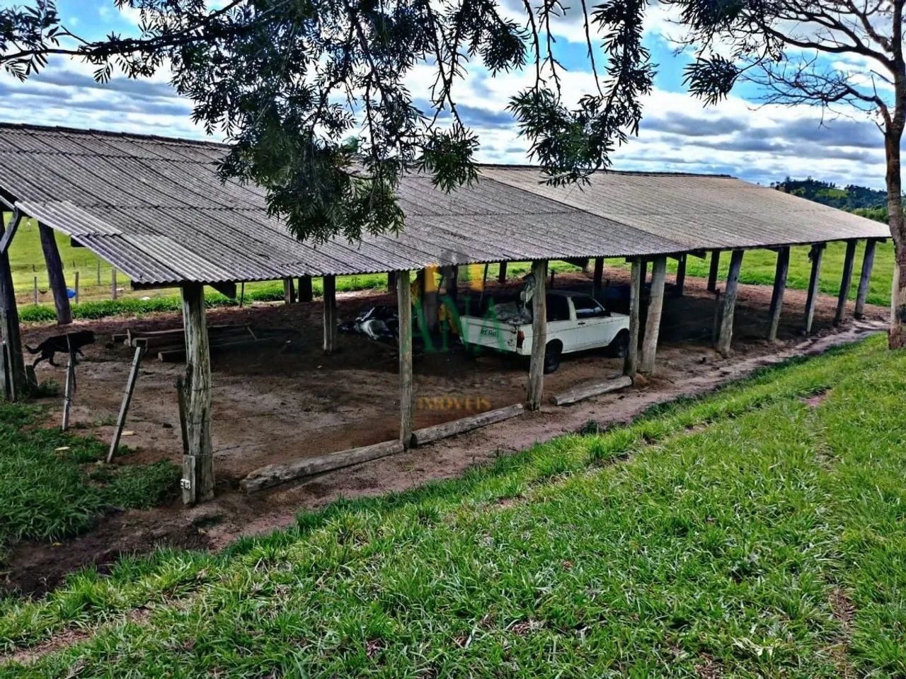 Sítio localizado em Conchas - Foto 3