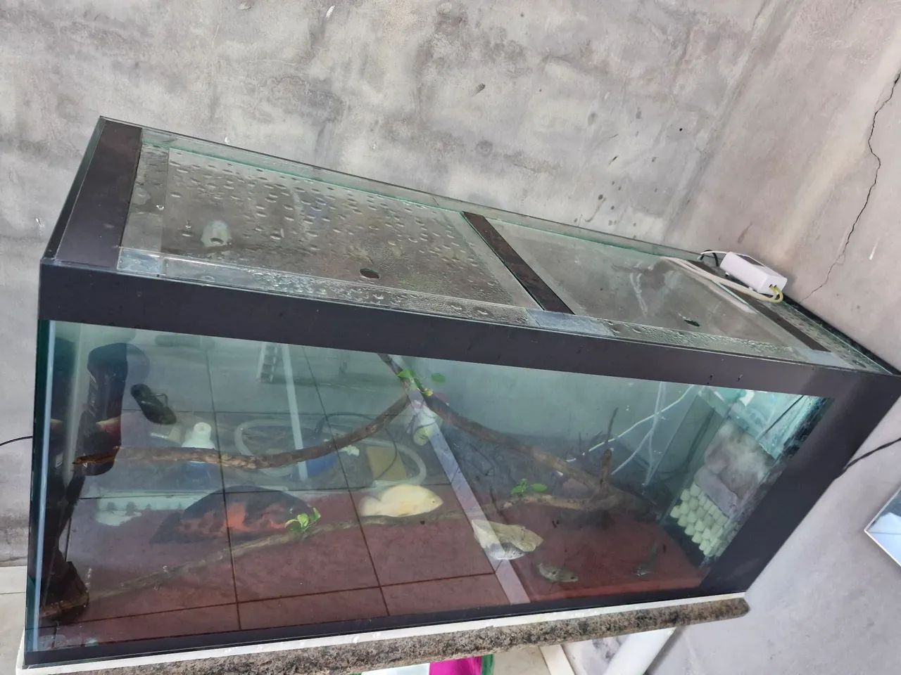 Aquário 420L 1400x500x600 sump lateral - Foto 5