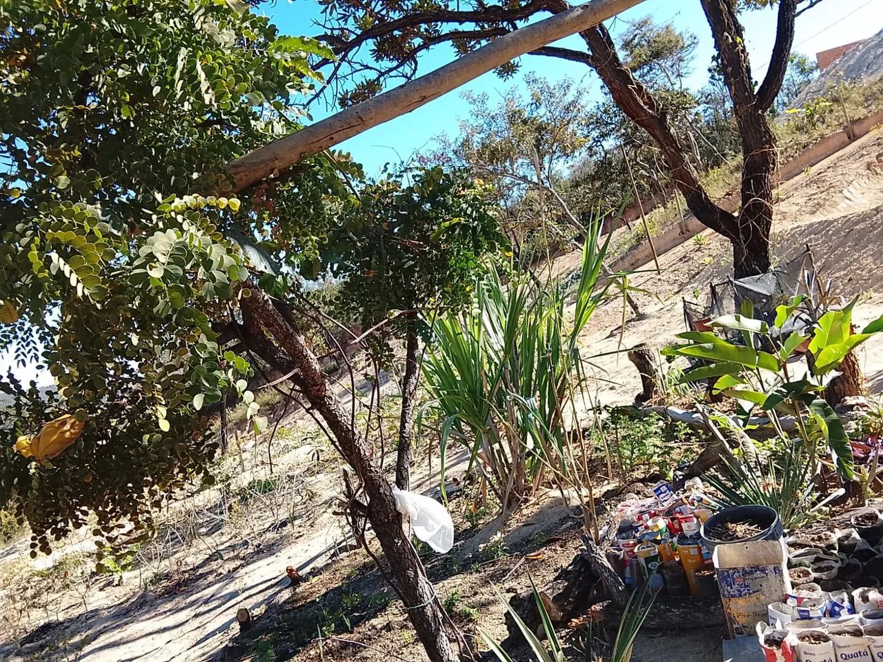 Vendo chacará em ravena sabara - Foto 4