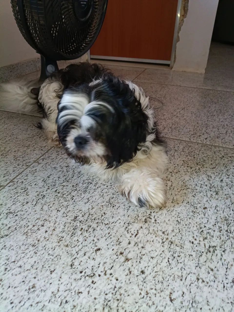 Doação  - Foto 2