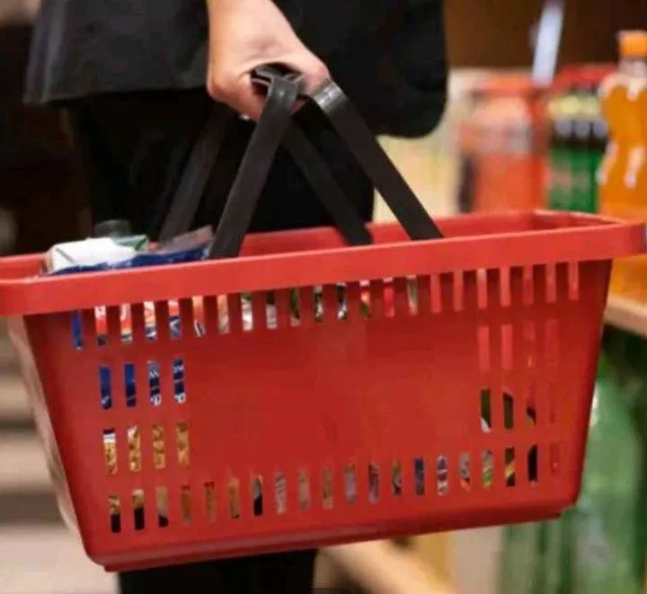 Lote de cestas plásticas multiuso 